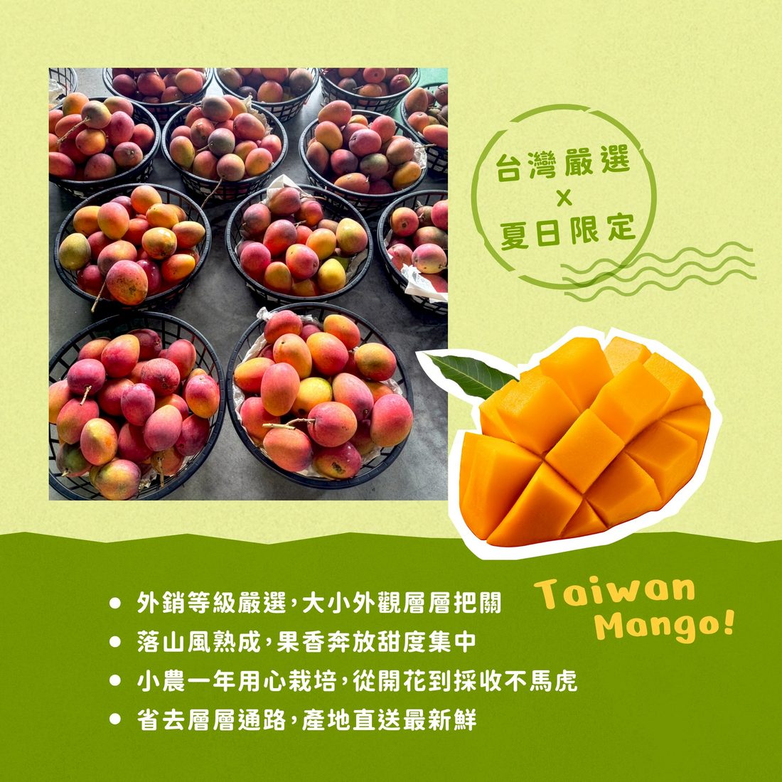 嚴選好果