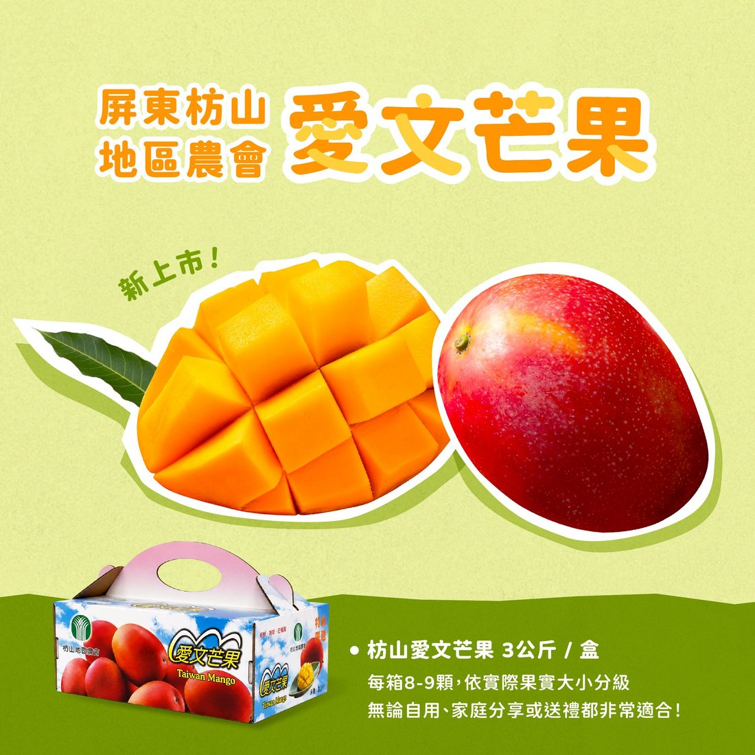 禮盒包裝